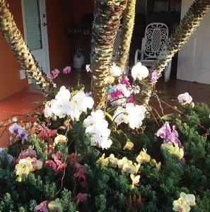 Meet your Posher, Doris